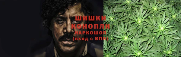 тгк Новозыбков