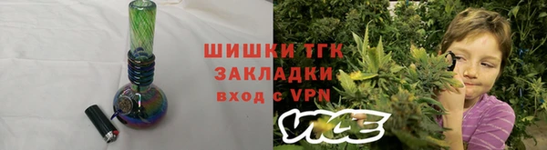 тгк Новозыбков