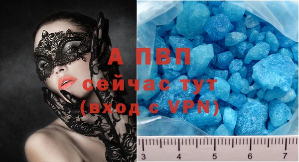 тгк Новозыбков