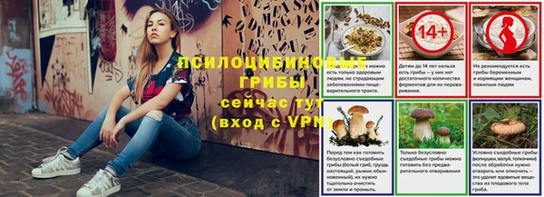 гидра Новокубанск