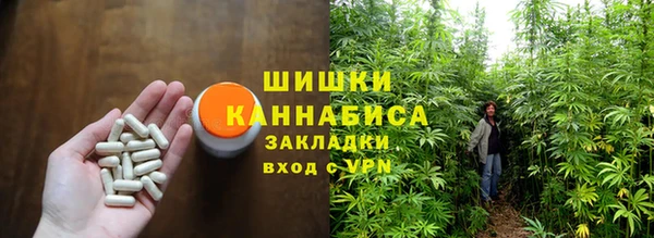 тгк Новозыбков