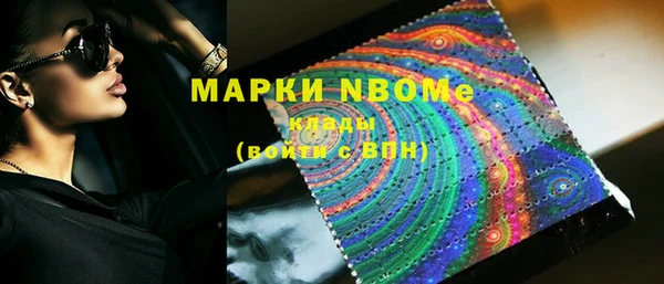 тгк Новозыбков