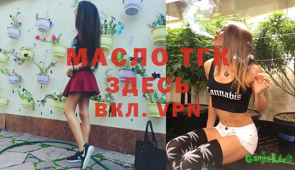мяу мяу мука Няндома