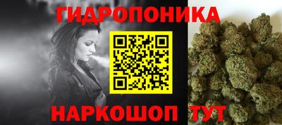 скорость Дубна
