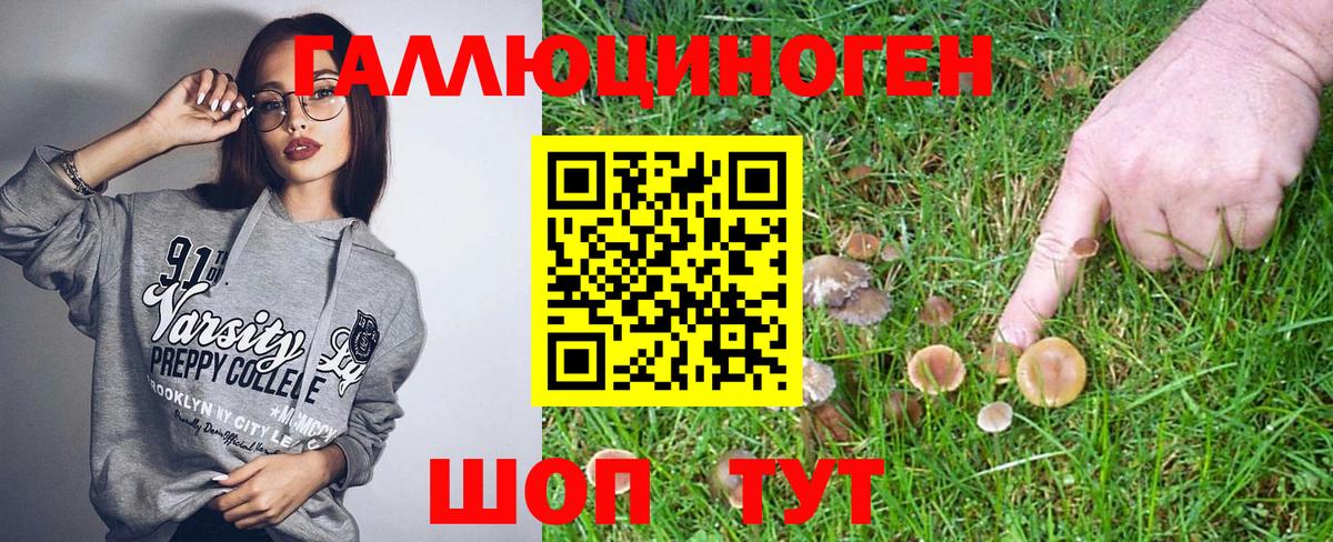 где продают   Соликамск  Псилоцибиновые грибы Psilocybe  Галлюциногенные грибы мицелий 