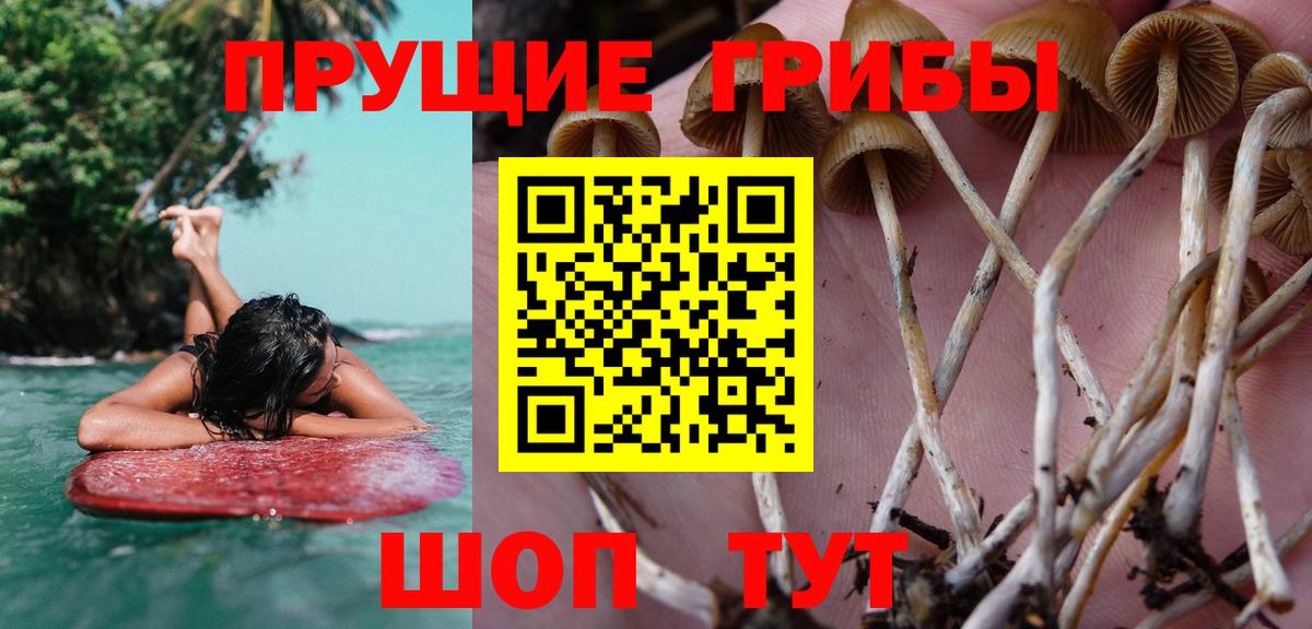 Псилоцибиновые грибы ЛСД Соликамск