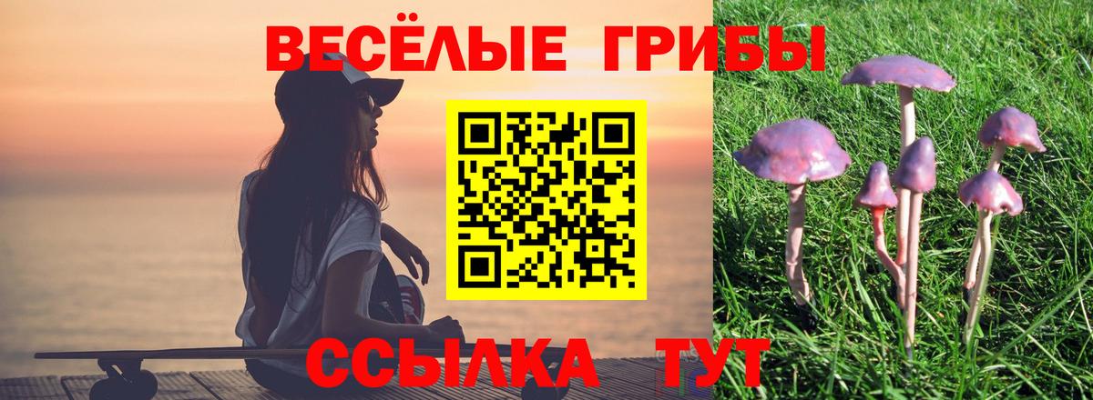 купить наркоту  Вход с VPN  Соликамск  Псилоцибиновые грибы прущие грибы 